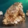 Piggy bank "Toad on money" large 25x34x20cm