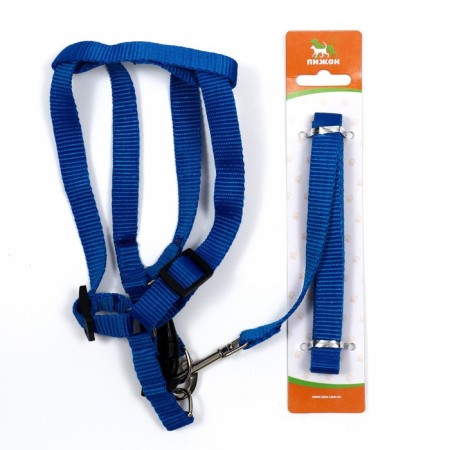 Set "Basis", leash 120 x 1.5 cm, OG 32-46 cm, blue-4