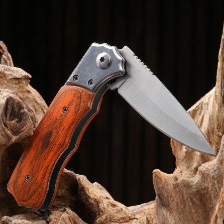 Automatic knife, folding "fart" steel - 420, handle - bakelite, 20 cm