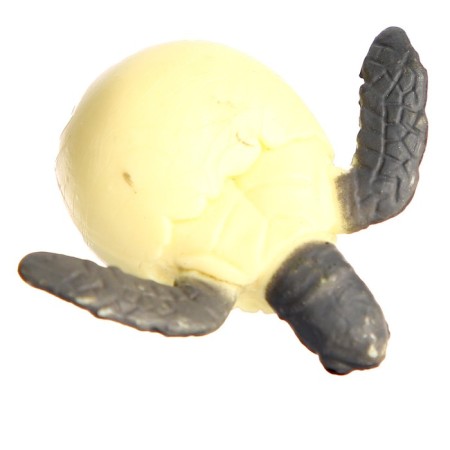 Training set "Stages of development of sea turtles" 4 figures-4