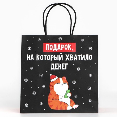 Package Gift "Gift", 22 x 22 x 11 cm, new year-2
