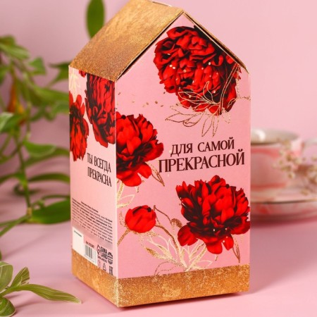 Чай в домике «Счастья в дом» 28 шт. х 1,8 г.-2