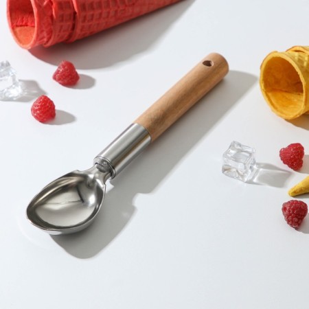 Spoon for ice cream shade "Valdai", 21 × 4.3 × 2.5 cm, stainless steel, beige color, chrome