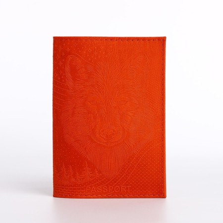 Passport cover, orange color-1