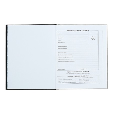 Universal Diary Grade 1-11, 48 raccoon sheets, solid cover, foil embossing, glossy lamination, universal cheat sheet, block 65 g/m2-4