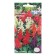 Salvia flower seeds "Farao",