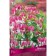 Dicenser "Great", 1 pc, rr I, spring 2025