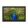 Digital photo frame Digma PF-1043, 10.1 ", 1280x800, IPS, plastic, remote control, video, black