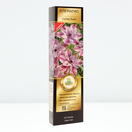 Clematis Botanical suite "Super Kyut", tube, 1 pc, spring 2025