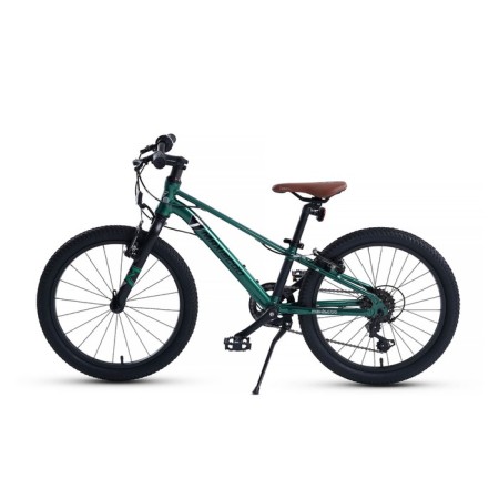 Bicycle 20 ’’ maxiscoo 7bike m200, emerald color-2