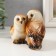 Souvenir Polystone Lak "Ordinary Sipuhi (Owls)" 14.8x6.5x8.7 cm