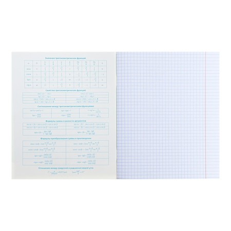 A notebook “Notebook”, 48 sheets in the “Algebra” cage, covered cardboard, selective varnish, with reference material-1