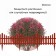 Decorative fence, 30 × 300 cm, 5 sections, plastic, terracotta, Greengo