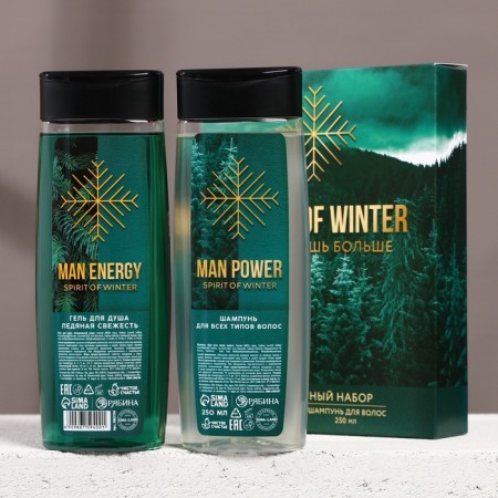 New Year. Gift set, shower gel and hair shampoo, 2 x 250 ml