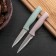 Knife for cleaning the fish "Ringo", a gear blade 9 cm, color mix
