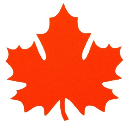 Set of leaves "maple" brilliant large, 5 pcs., Mix color-2
