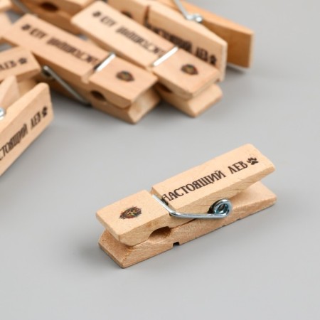 Decor for creativity Tree "clothespin - real lion" set 10 pcs-2