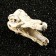 Decor for the Aquarium "Skull Crocodile", 13 x 5.5 x 6 cm