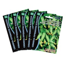 Cucumber seeds 