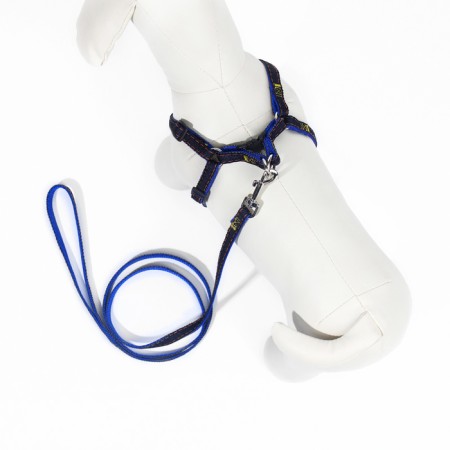 Kit "jeans", leash 120 x 1 cm, og 25-40 cm, blue-1