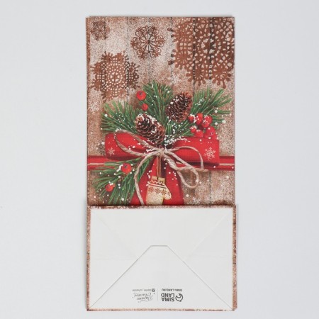Package without pens "Stylish Gift", 10 x 19.5 x 7 cm, New Year-6