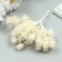 Artificial plant for creativity "spruce balls" 1 bouquet = 6 branches white 14 cm