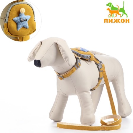 A set of ammunition with a backpack, size m, leash 120 x 1.5 cm, ok 20-32 cm, 24-40 cm, yellow