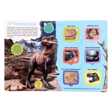 Book with windows "Dinosaurs"-1