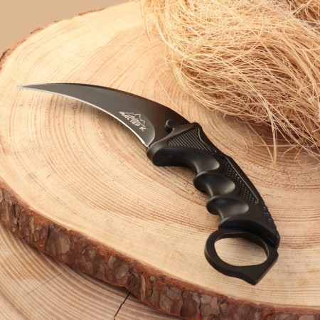 Knight Knorambit "Claw Eagle" 20cm, blade 90mm/2.5mm, black-1