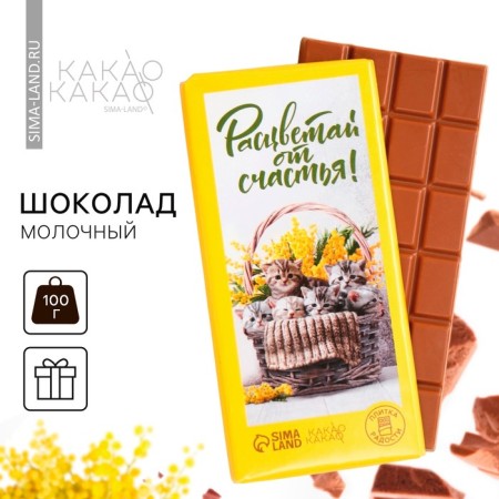 Milk chocolate "Blave with happiness", 100 g.