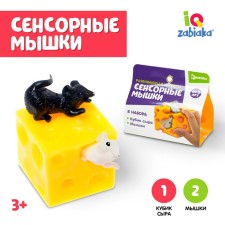 Developing toy 