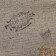 Souvenir Scroll "Morning street"