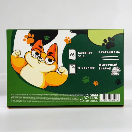 Gift set "Cat" Notepad A6, icon, stickers and pencils 2 pcs-12