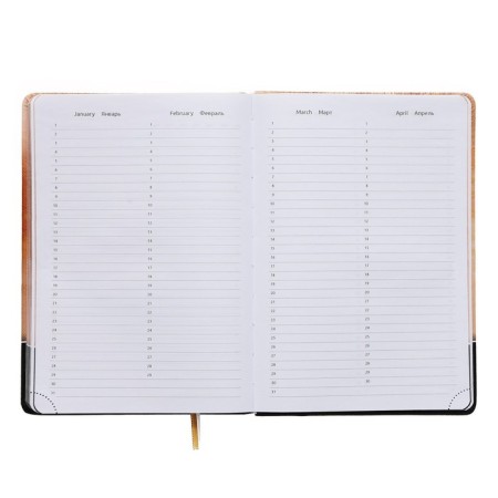 Leduced Diary A5, 160 sheets, Devente. Wild CAT, solid cover of artificial leather with foam rubber, color cut, block 70 g/m2, orange-8