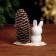 Easter composition "Bunny on the edge"