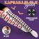 Carnival accessory- stockings