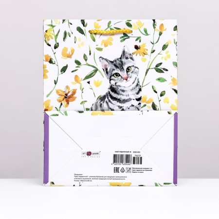 Gift package "Cat in colors", 18 x 22.3 x 10 cm-1