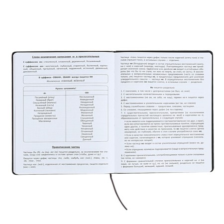 The universal diary for the 1-11 classes "Anime", a solid cover made of artificial leather, application, lies, 48 ​​sheets, black-11