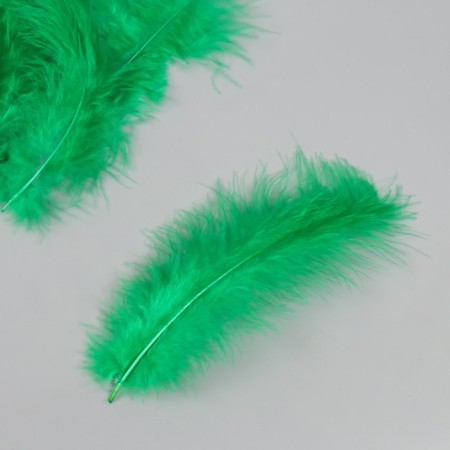Pen decorative goose downy "green grass" set 40 pcs h = 10-15 cm-1