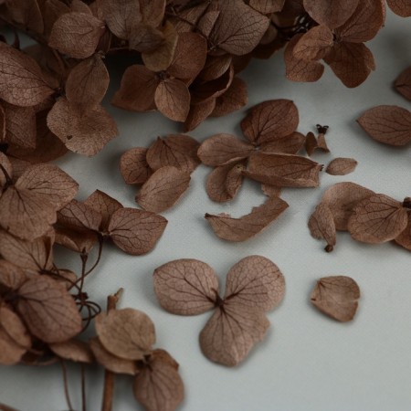 Set for creating a gypsum pan with dried flowers "Circle"-6