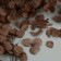 Set for creating a gypsum pan with dried flowers "Circle"