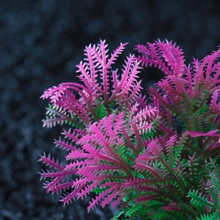 Set of artificial plants for aquarium (2 pcs), 10 cm-2
