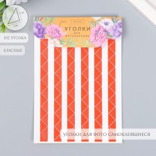 A set of corners with a pocket for photos 102 corners 