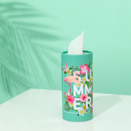 Napkins in a tube 50 pcs, 2 layers "Summer"-1