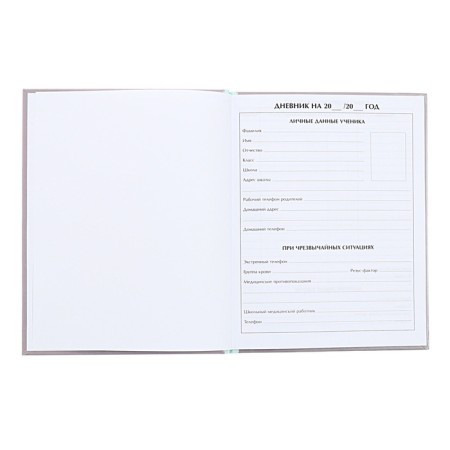 Universal diary for grades 1-11, "kittens", solid cover 7BC, glossy lamination, 40 sheets-4
