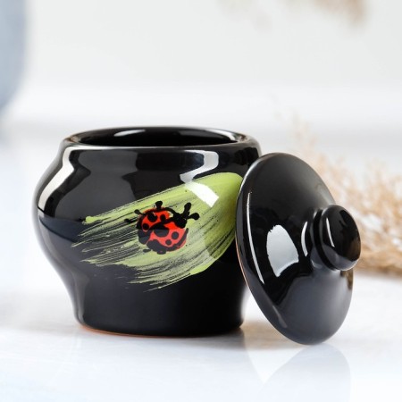 Set for Pskovsky Dumplings 1.4l / dish 34x25cm / 4x0.2l, ladybug-9