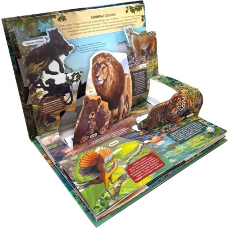 Encyclopedia "Predators" Book-Book, Pop Up-1