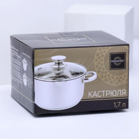 Magistro klimena stainless steel pan, 1.7 l, lid-durglog, plum nose, capsule, induction-6