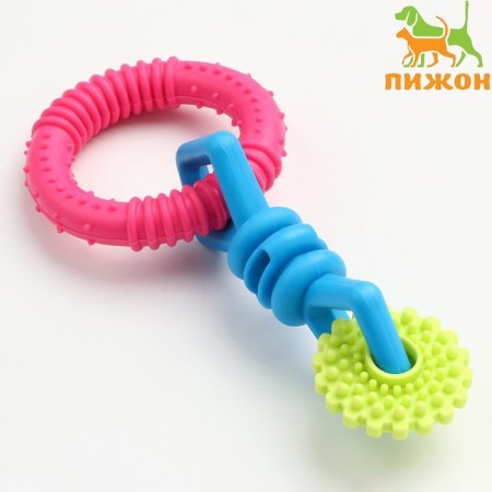 Chewing toy "Always together!", TPR, 18.5 cm, circle/candy/gear