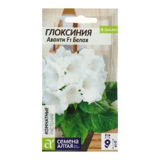 Seeds of indoor flowers gloxinia Avanti 